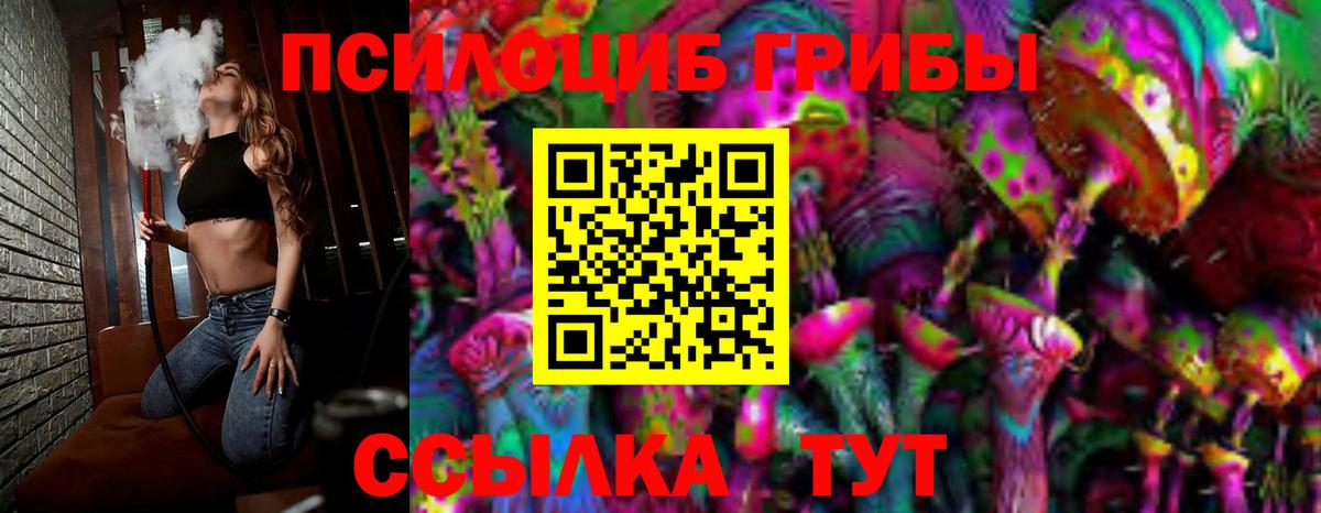Галлюциногенные грибы Psilocybe  Вход с VPN  Владикавказ 